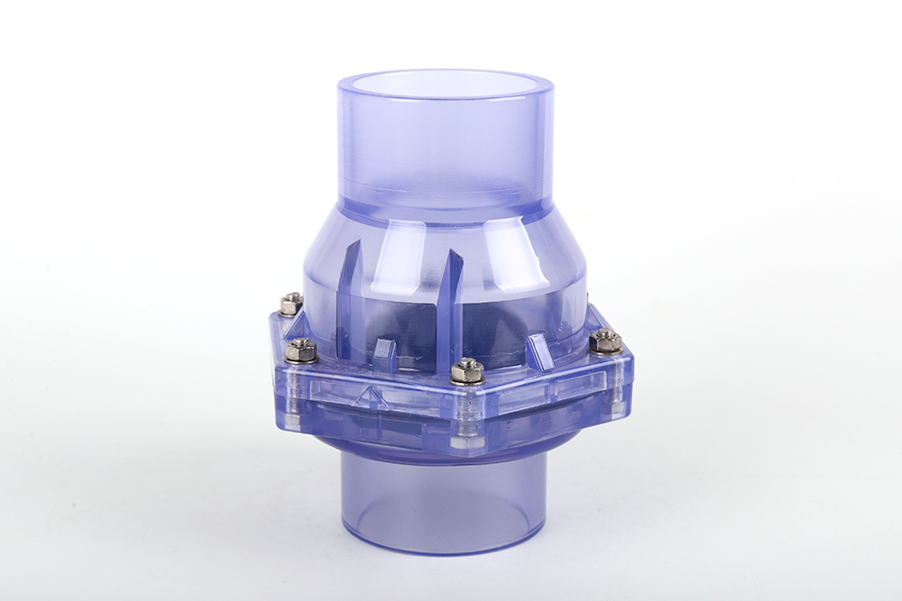 通海口镇透明翻板式止回阀